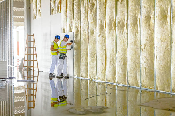 Types of Insulation We Offer in Lake Norman Of Catawba, NC